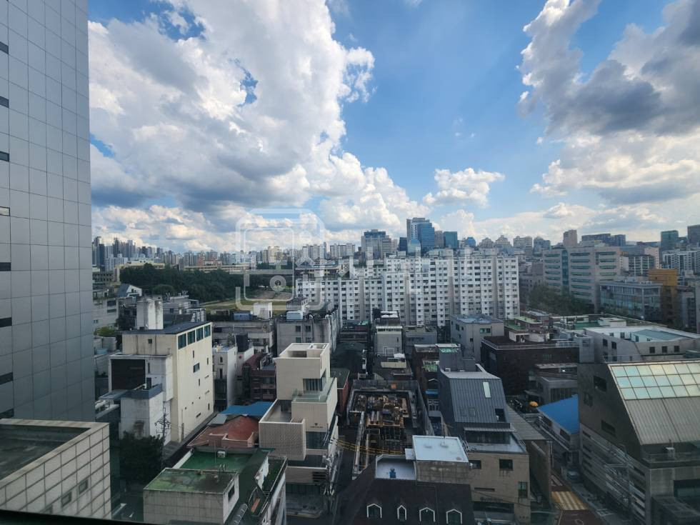 서울 강남구 청담동 무권리 도산대로뷰 대로변 12층 임대 월세 매물번호 25194 사진 1