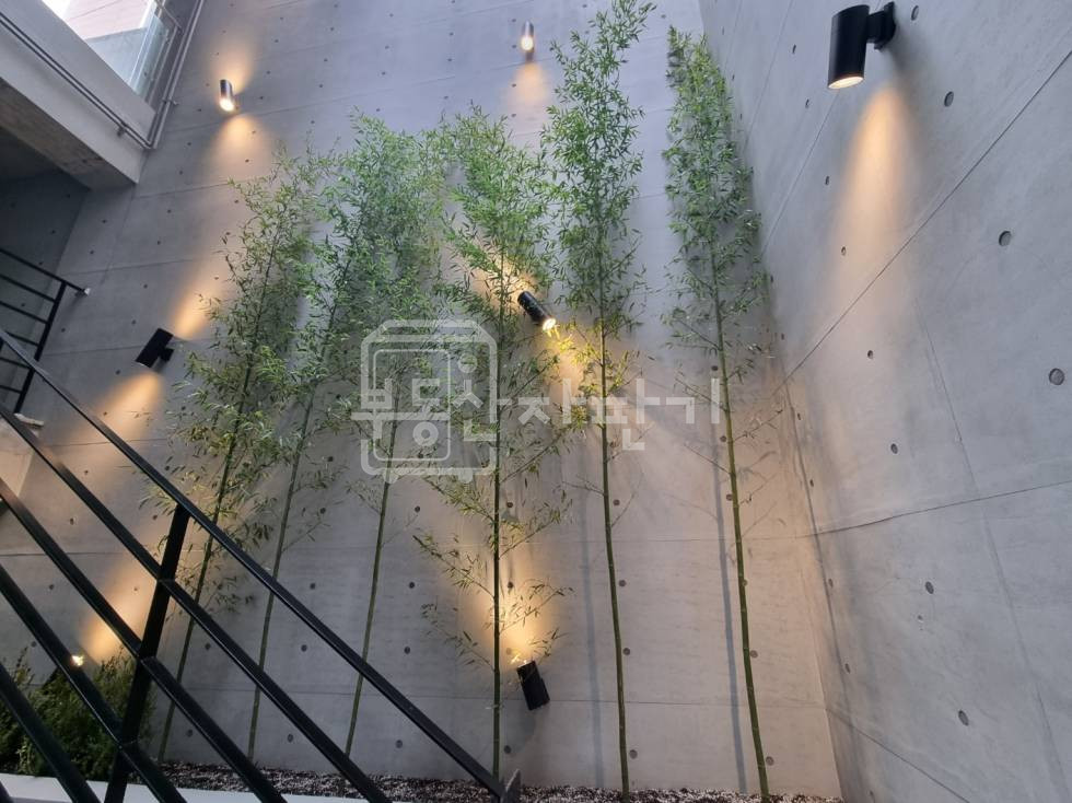 서울 강남구 역삼동 강남/신논현역 6분, 지상2층~지하2층 신축건물 통임대 월세 매물번호 27175 사진 7