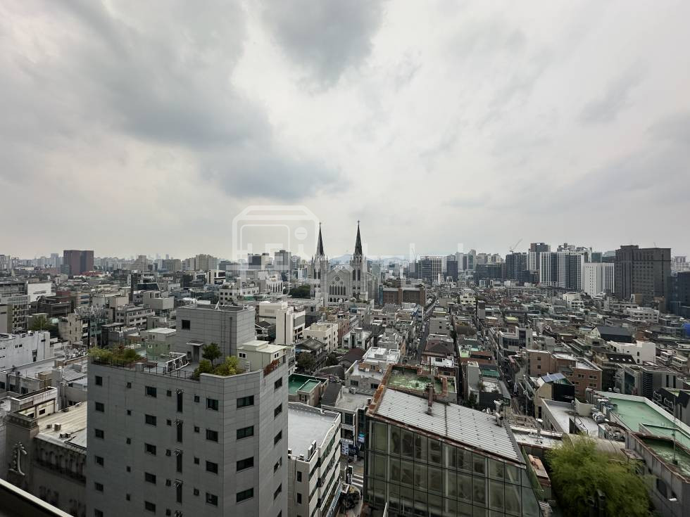 서울 강남구 역삼동 하이엔드급 오피스텔, 신축첫입주, 루프탑 수영장 월세 매물번호 26082 사진 10