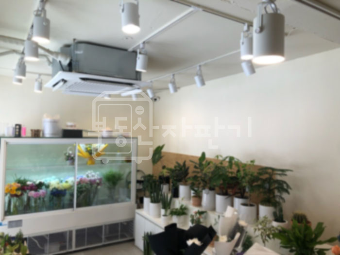 서울 서초구 서초동 교대역 2분, 초역세권, 1층 임대 월세 매물번호 27460 사진 2