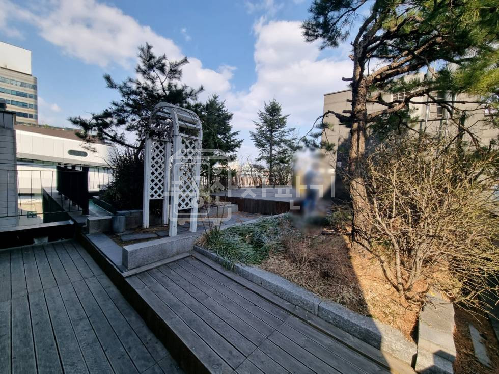 서울 강남구 신사동 무권리, 신사역 도보 1분, 초역세권, 6층 임대 월세 매물번호 30324 사진 6