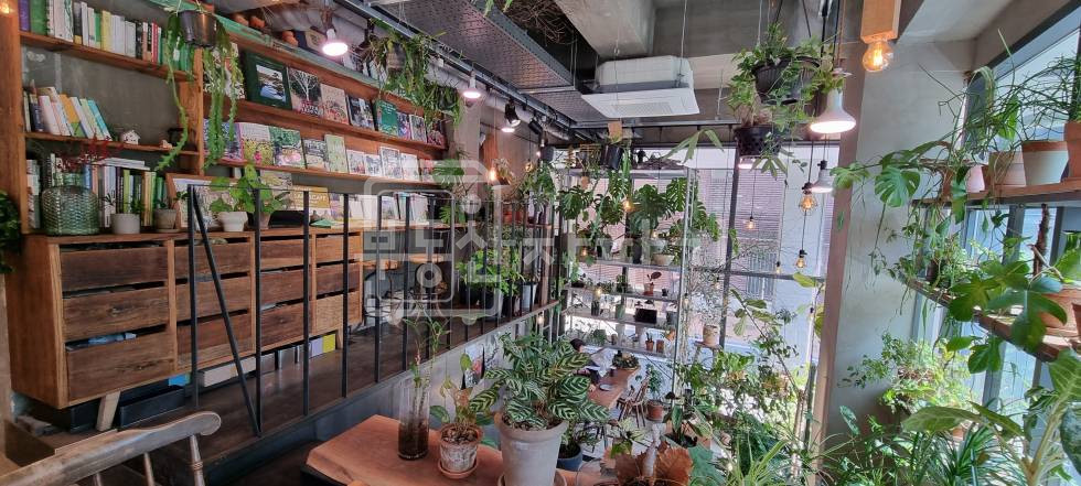 서울 강남구 도곡동 도곡동 아파트 단지 속 상가 코너건물 이면도로, 1층 월세 매물번호 18675 사진 4