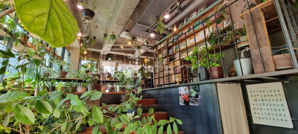 서울 강남구 도곡동 도곡동 아파트 단지 속 상가 코너건물 이면도로, 1층 월세 매물번호 18675 사진 8