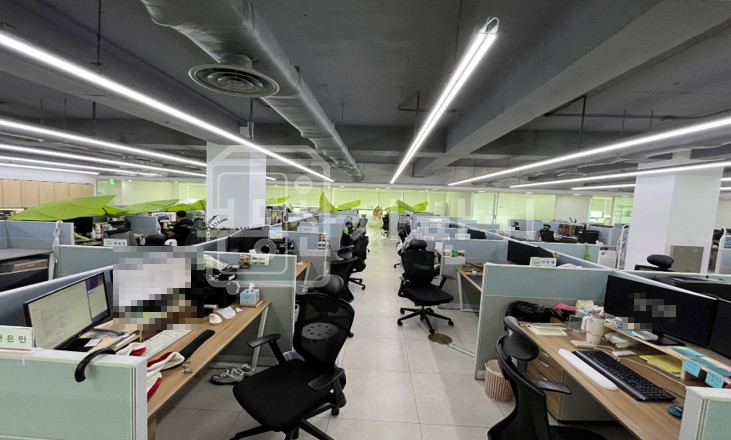 서울 강남구 논현동 학동로 대로변 6층 임대 월세 매물번호 31398 사진 9