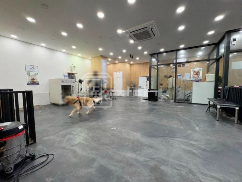 서울 강남구 논현동 무권리 논현역 도보 3분 초역세권 이면도로 지하 1층 월세 매물번호 30862 사진 1