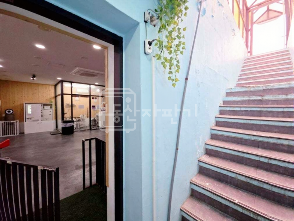서울 강남구 논현동 무권리 논현역 도보 3분 초역세권 이면도로 지하 1층 월세 매물번호 30862 사진 5