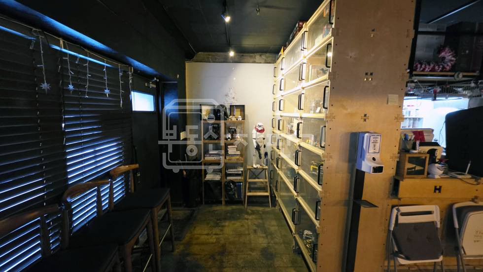 서울 강남구 논현동 학동사거리 인근, 코너건물 1층 임대 월세 매물번호 33733 사진 4