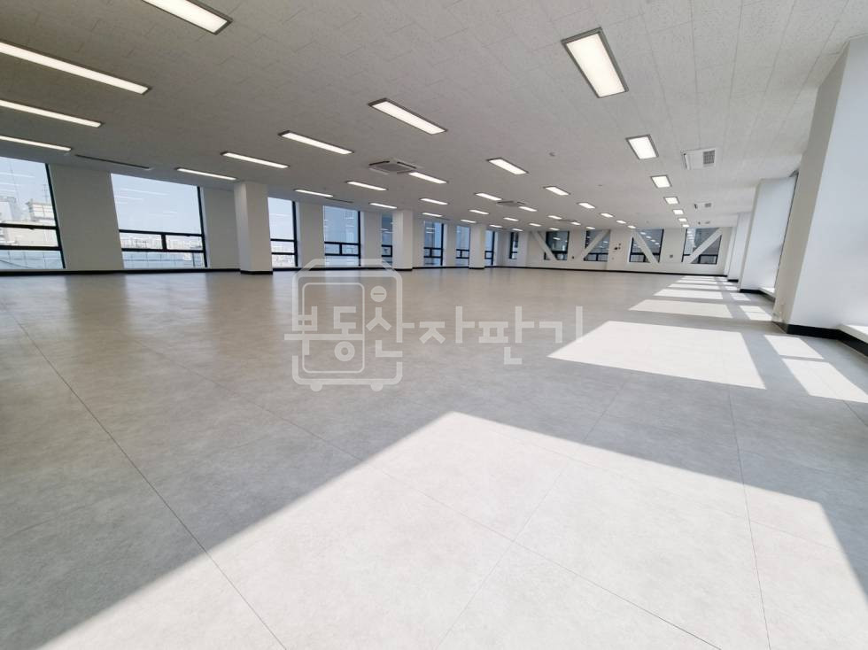서울 강남구 신사동 도산대로 대로변 ,대형오피스 5층 임대 월세 매물번호 33908 사진 4