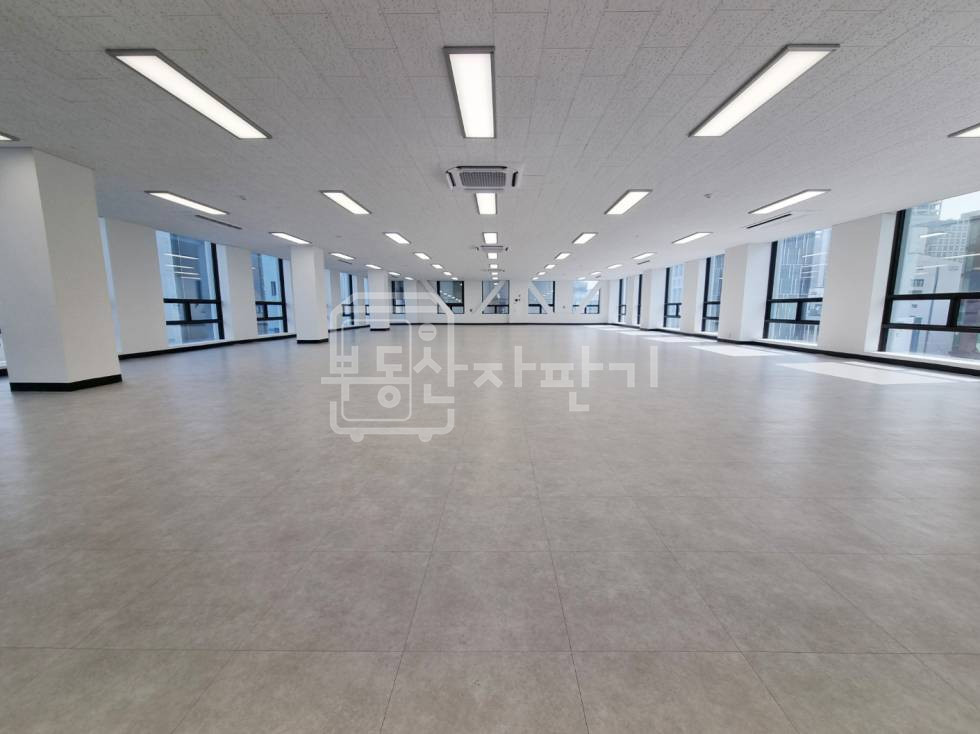서울 강남구 신사동 도산대로 대로변 ,대형오피스 5층 임대 월세 매물번호 33908 사진 5