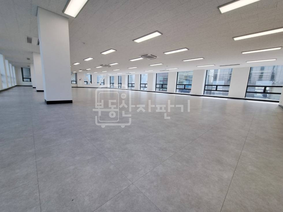 서울 강남구 신사동 도산대로 대로변 ,대형오피스 5층 임대 월세 매물번호 33908 사진 6