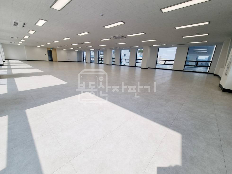 서울 강남구 신사동 도산대로 대로변 ,대형오피스 5층 임대 월세 매물번호 33908 사진 7