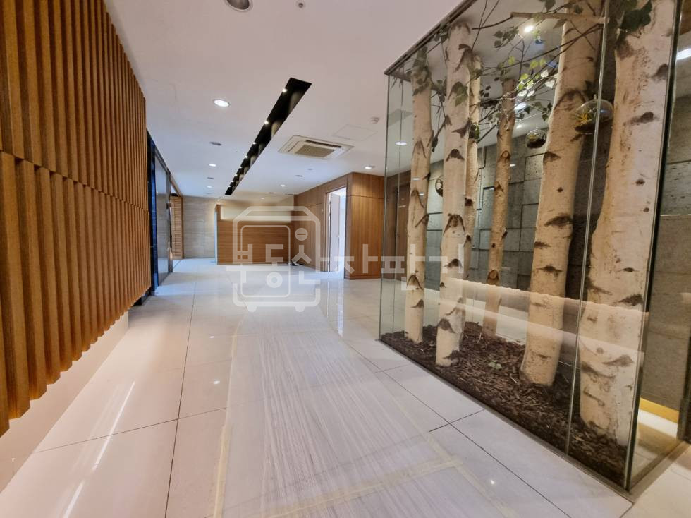 서울 강남구 청담동 학동사거리 인근 도산대로 대로변 6층 임대 월세 매물번호 33928 사진 3