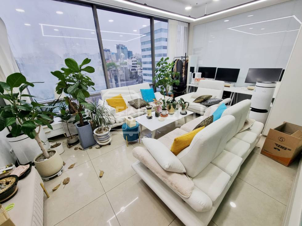 서울 강남구 청담동 무권리, 압구정로데오역 도보 9분, 역세권, 8층 임대 월세 매물번호 34120 사진 12