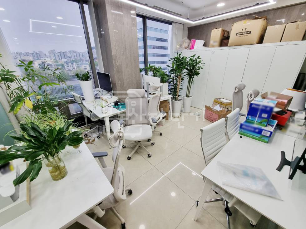 서울 강남구 청담동 무권리, 압구정로데오역 도보 9분, 역세권, 8층 임대 월세 매물번호 34120 사진 13