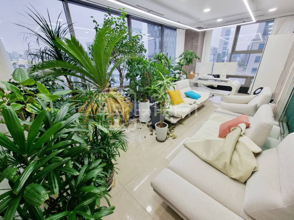 서울 강남구 청담동 무권리, 압구정로데오역 도보 9분, 역세권, 8층 임대 월세 매물번호 34120 사진 14