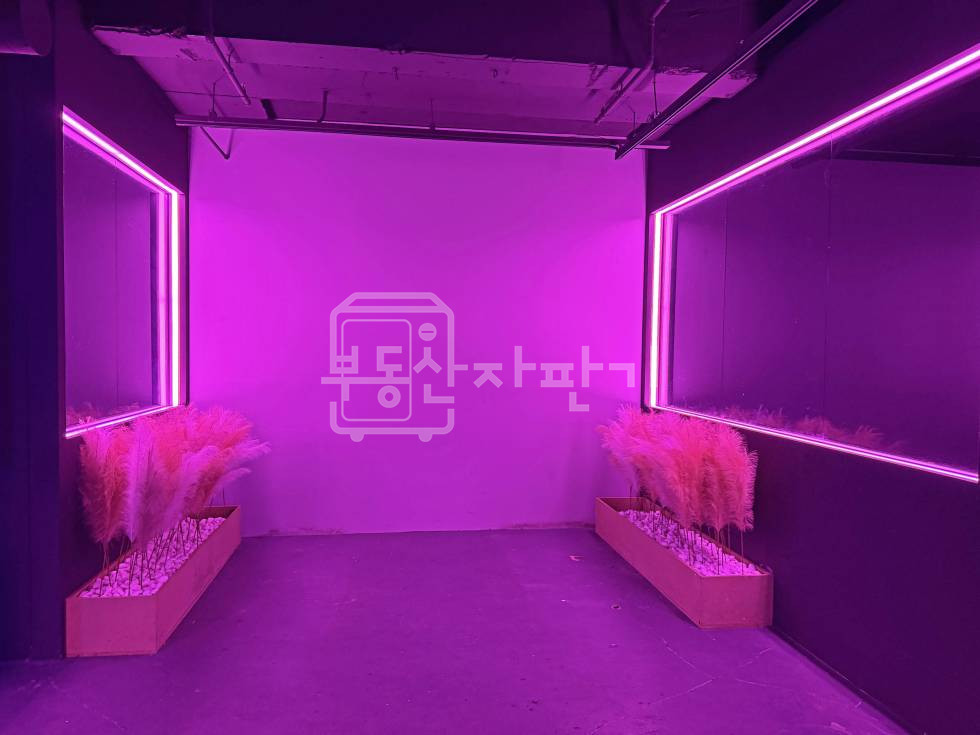 서울 강남구 신사동 무권리, 압구정로데오역 7분, 역세권, 지하1층 임대 월세 매물번호 29200 사진 5