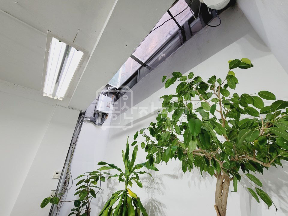 서울 강남구 논현동 무권리, 학동역 6분, 역세권, 지하1층 임대 월세 매물번호 23941 사진 4