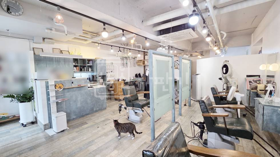 서울 강남구 역삼동 신논현역 도보 3분, 초역세권, 이면도로, 1층 임대 월세 매물번호 34849 사진 4