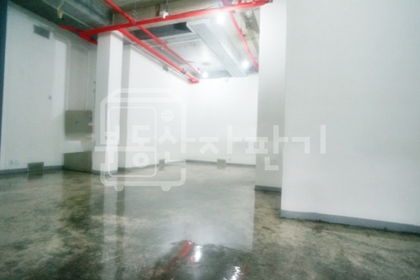 서울 강남구 신사동 무권리, 가로수길, 신사역 6분, 역세권, 지하 1층 임대 월세 매물번호 20062 사진 6
