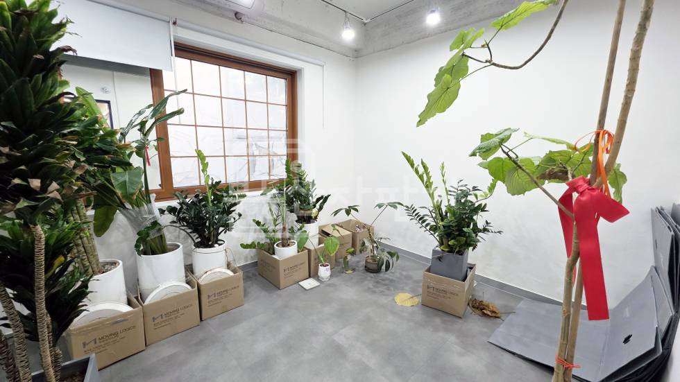 서울 강남구 대치동 무권리, 대치사거리 인근, 2층 임대 월세 매물번호 35176 사진 6