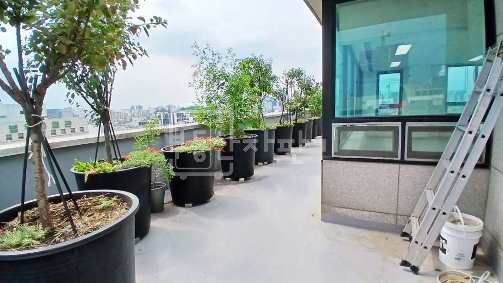 서울 강남구 논현동 무권리, 학동역 4분, 역세권, 7층 임대 월세 매물번호 35509 사진 8