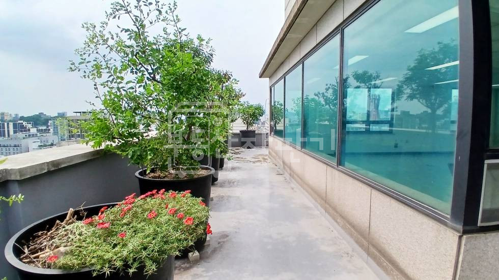 서울 강남구 논현동 무권리, 학동역 4분, 역세권, 7층 임대 월세 매물번호 35509 사진 9